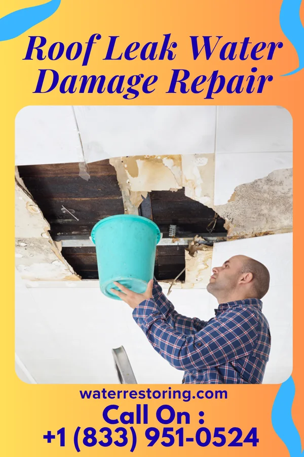 Roof Leak Water Damage Repair in Nichols, WI